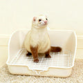 Small Pet Litter Box — For Ferrets, Rabbits, and Small Pets